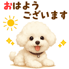 ビションフリーゼ好きのためのかわいい日常