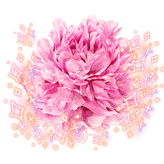 きらきら　花香る