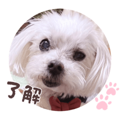 marimama_20250831233655