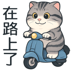 貓系列(4)-灰色虎斑貓大貼圖