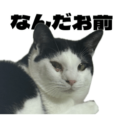 hana_20250829230306