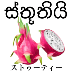 Tropical Dragon Fruit 25