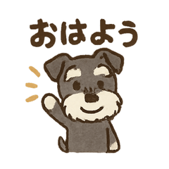 Miniature Schnauzer Daily Stickers3