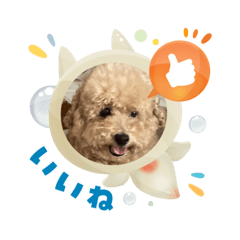 sachi_20250831164401