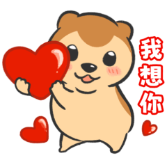 胖胖的熊　每天貼圖