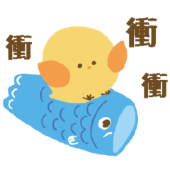 不能吃的小雞日常