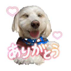 kan-chan_20250901050502