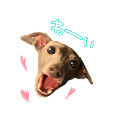 ayu_20250901053745