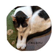 fumino_20250901071613