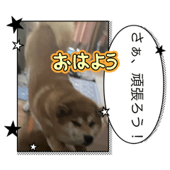riho_202508311925