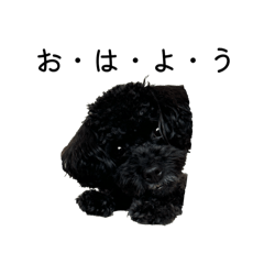 Kaito_20250831212558