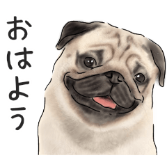 patezou_20250830142045