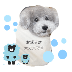 shio_20250831202928