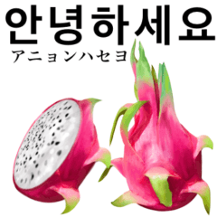 Tropical Dragon Fruit 17