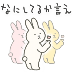 Im crash on my boyfriend Animals