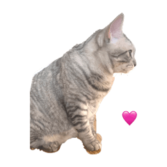 nyachan_20250831230429