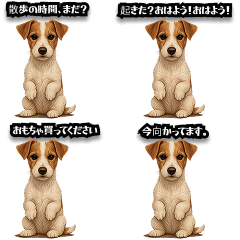 แจ็ครัสเซลล์เทอร์เรียร์ ซีรีส์2