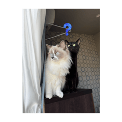 Yukari_20250831205111