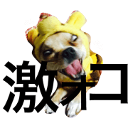 sakucoco