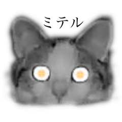 natsu_20250831204449