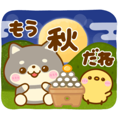 秋に役立つ♡豆柴日和