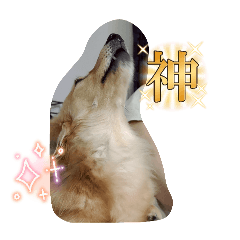 Kaho_20250830165041