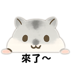 廖小妹和她可愛倉鼠Part1