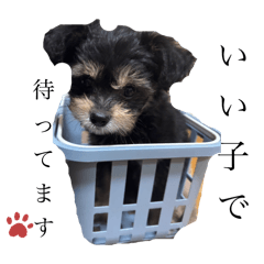 YuinA_20250901001308