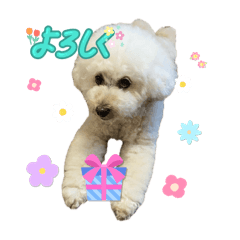 cream_20250901084916