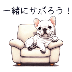 GOOD French Bulldog-cute Japanese ver