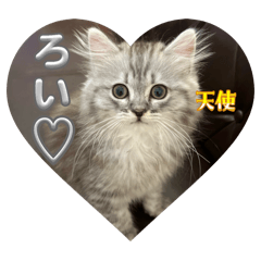 ALICE_20250831141655