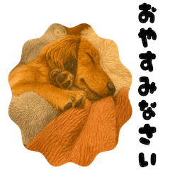 Mini Dachshund "Ito" in Colored Pencils