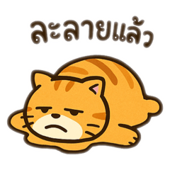 MANDY_20250829133711