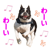 FUREBULL SATUMA Sticker2