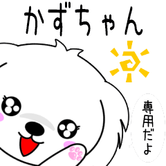 ♦️かずちゃん専用♦️使える名前スタンプ