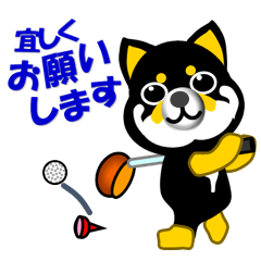 A black Mame Shiba which plays golf
