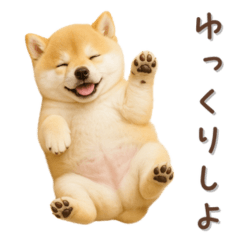 Fluffy Shiba Inu Cozy Stickers