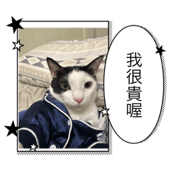 小牛寶生活日常