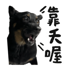 黑糖超實用貼圖(⁎⁍̴̛ᴗ⁍̴̛⁎)
