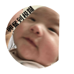 滷蛋包寶