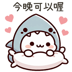 小鯊貓今晚可以喔
