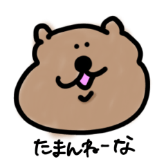 Polite Quokka Wallaby