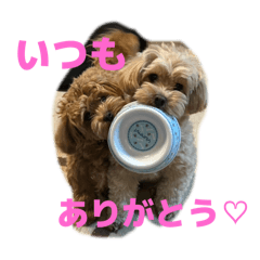 haruna_20250830205711