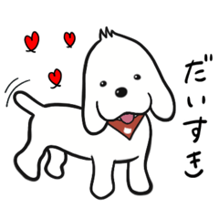 マシュマロとの暮らし