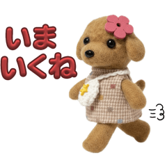 Little Angel Dog   Toy Poodle