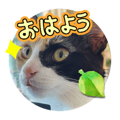 suzu_20250901143542