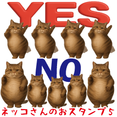 Easy-to-use cat sticker5.