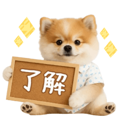 ▶動く！ポメラニアンの日常スタンプ