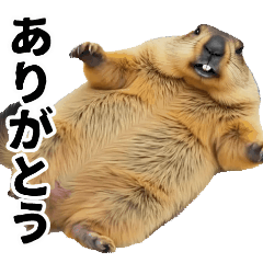 moving marmot stickers