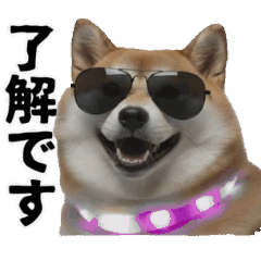 party dog and cat